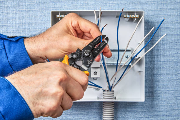 Best Electrical Panel Upgrades  in Nokomis, FL